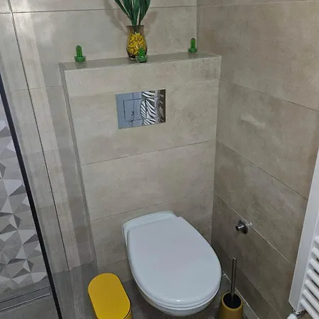 Slatkis Sweet Apartment Banja Koviljaca